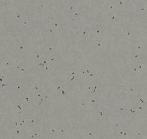 Линолеум Forbo Sphera Energetic 50212 elephant фото 1 | FLOORDEALER